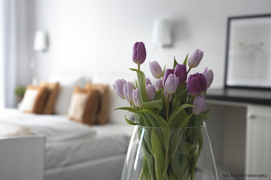 Hotel Amber Suite & Spa - Enklawa Dla Doroslych (Adults Only) Międzywodzie Kültér fotó